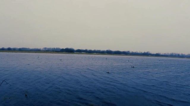 Охота на утку в ХМАО весной. Пережили сильный ветер со снегом. Палатка спасла охотников в непогоду.