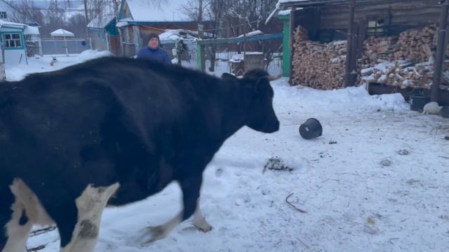 Деревня, жизнь в деревне