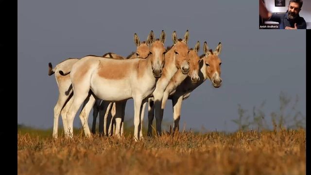 TOFTigers Travel Knowledge Series. The Best least known wildlife parks in India