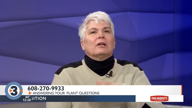 Plant Calls: Loving some lavender as warmer weather approaches