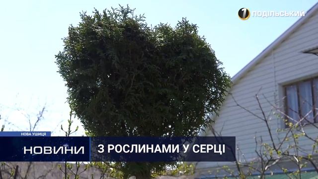 Еволюція рослинного світу від Новоушицького лісівника. Перший Подільський 29.04.2021