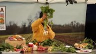 Root Festival