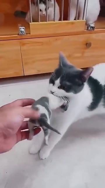 1000073912.mp4