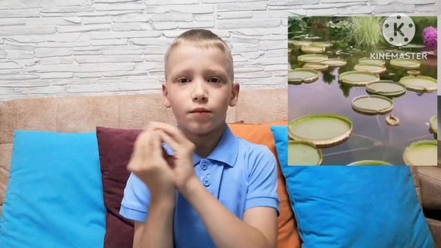 Необычные  растения. часть 2