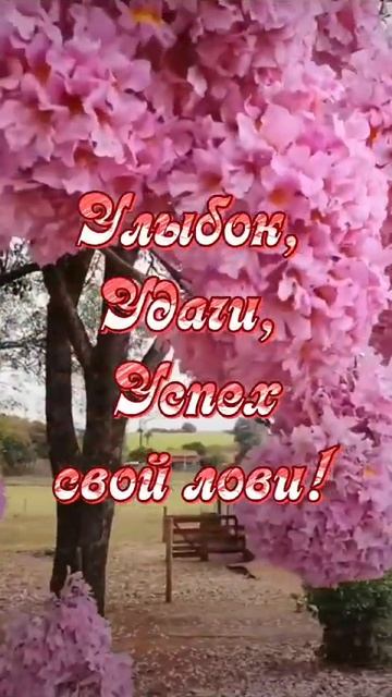 Доброе утро! Красивоежелание#видео#красиваямузыка#короткометражки