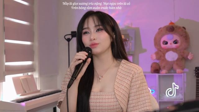 Hoa Cỏ Mùa Xuân - Mây Bae _ Nhạc Xuân 2025 Hay Nhất