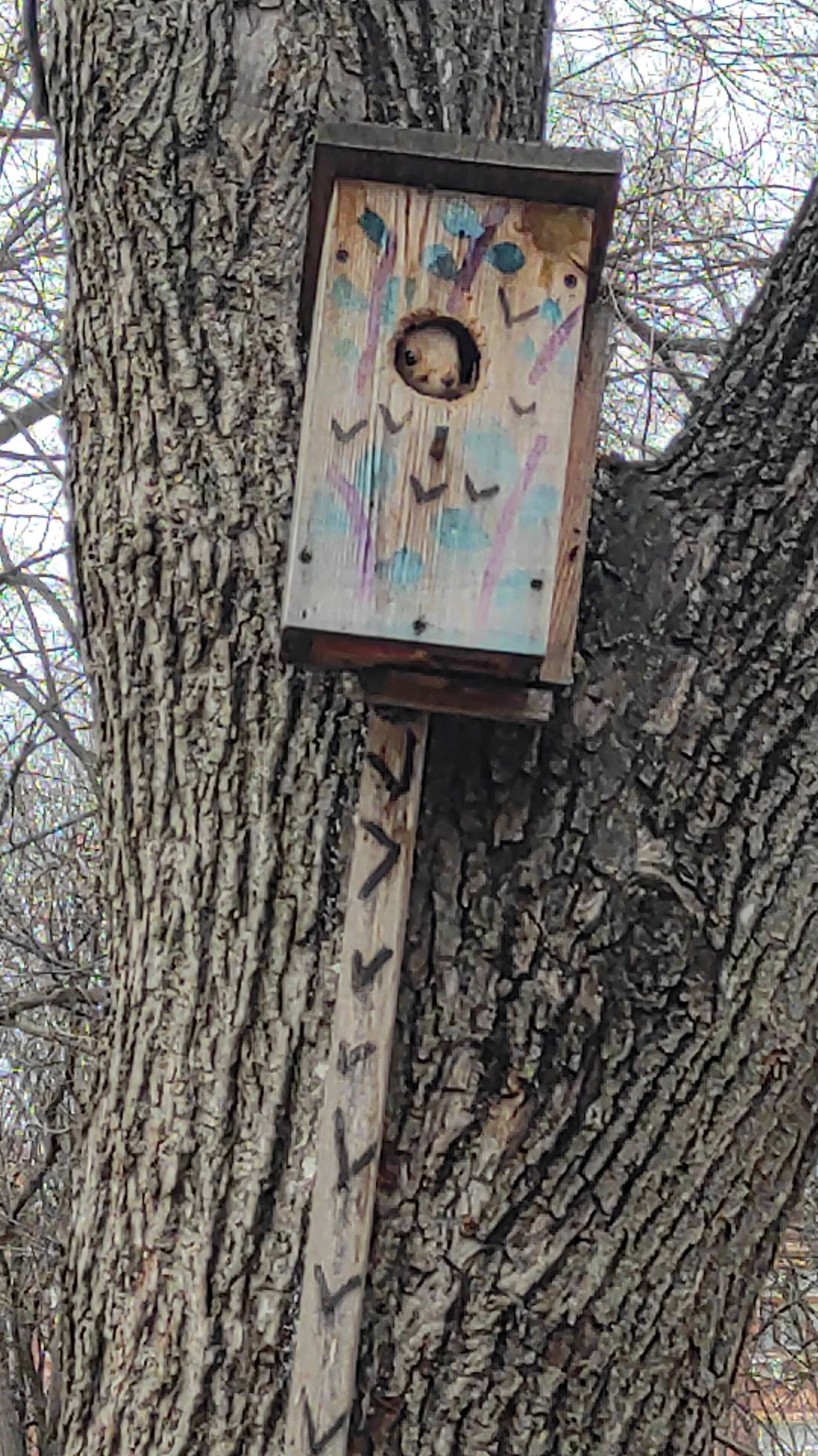 Белки в Краснодаре