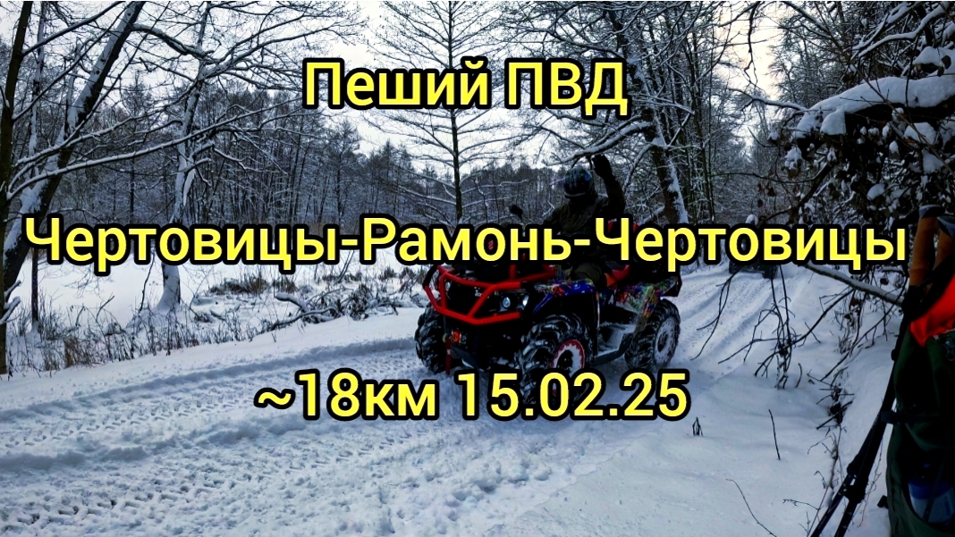 Пеший ПВД Чертовицы - Рамонь - Чертовицы 15.02.25