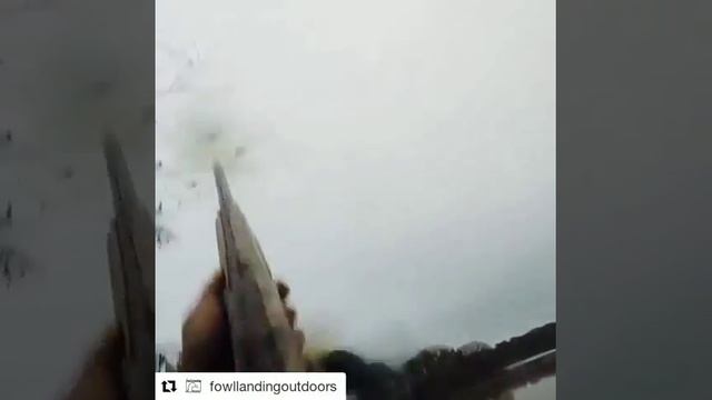 Летят гуси, летят утки...