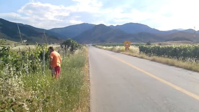 octavia vf34 vs ibiza cupra crt methanol