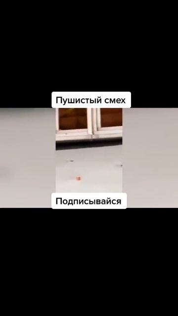 Пушистый смех