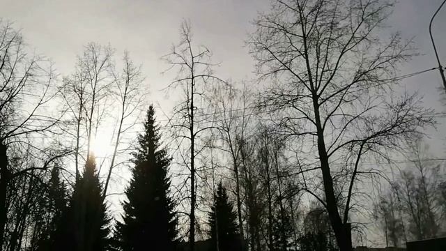 Если в валенках пойдём гулять