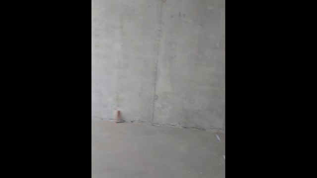 Новый проект