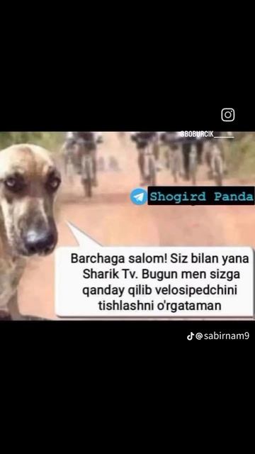 1000011648.mp4