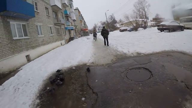 Балахна - Голуби купаются в луже в феврале 4 2018.