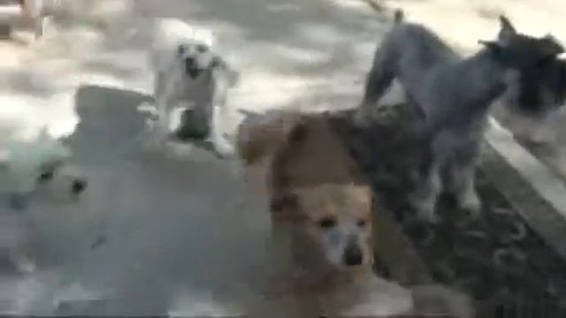 Camp Melissa 4-3-2012