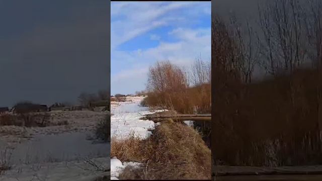 друзья