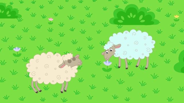 Кукутики - Овечки