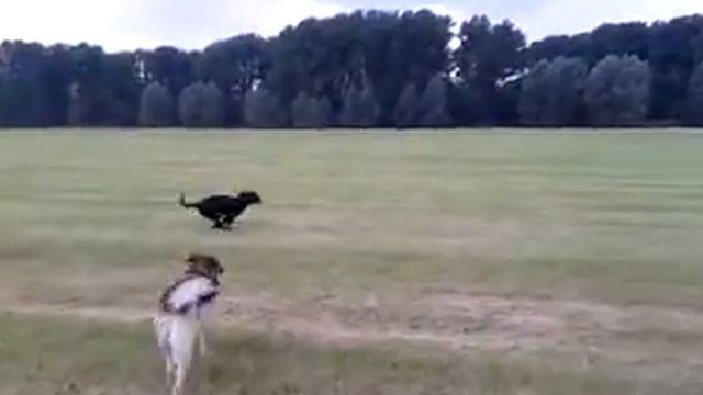 Flanny und Lili