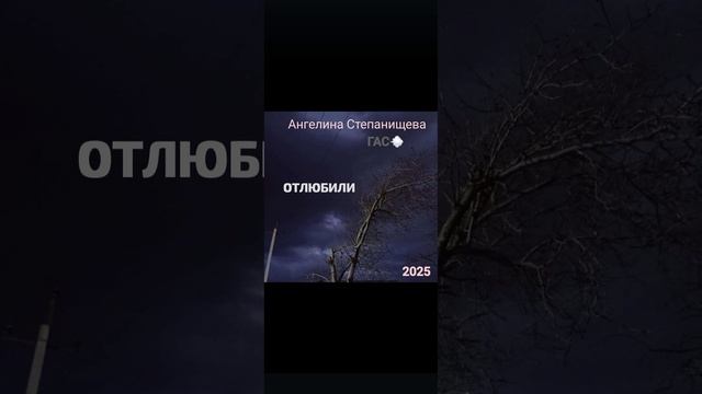 Песня "Отлюбили". Автор-исполнитель: Ангелина СТЕПАНИЩЕВА