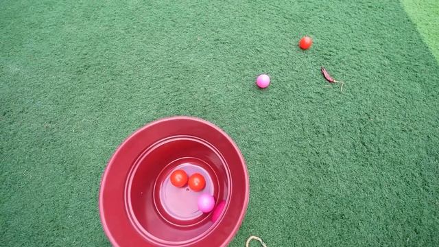50000 Rupees GIVEAWAY - Lemon & Spoon, Sack Race - Nostalgic Game!! Irfan's View