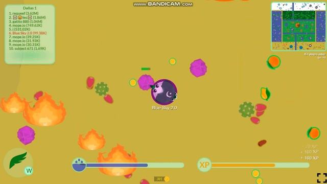 How to properly use a pakistan vulture in the new mope.io session 🐭