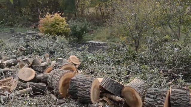 Отзыв о работе СпилКурск.ПРО