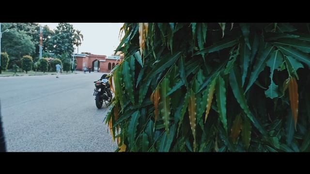 AMU Tarana || Aligarh Muslim University || official cinematic video || 2020