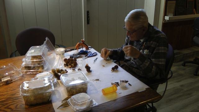 Natural Christmas Ornaments Workshop