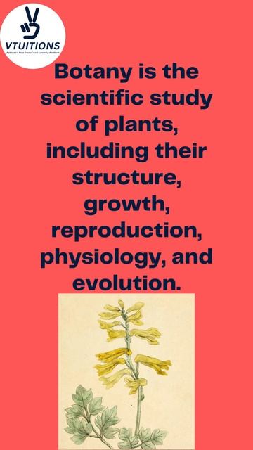 What is Botany |Vtuitions #Botany #Plants #Biology #Science #Nature  #Genetics #Anatomy #Physiology