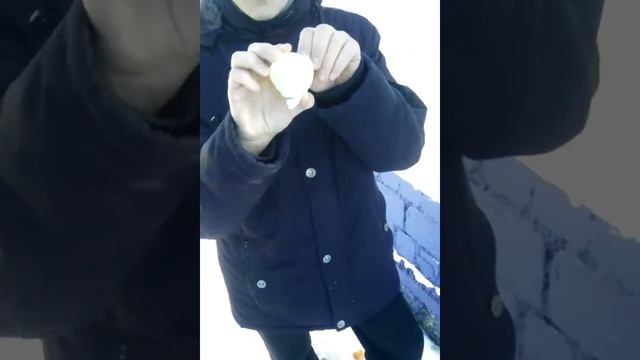 Пожиратель лука