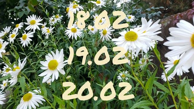 Лунный календарь для цветоводов с17.02-23.02.25г.