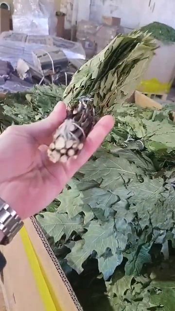 Дубовые и берёзовые веники в  Гжели.