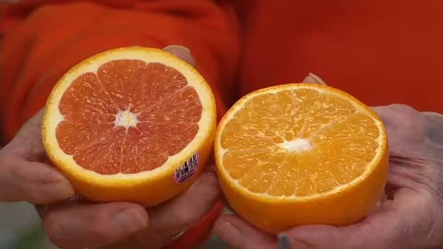 Cushman's 8 or 16 lb. Florida HoneyBell Box on QVC