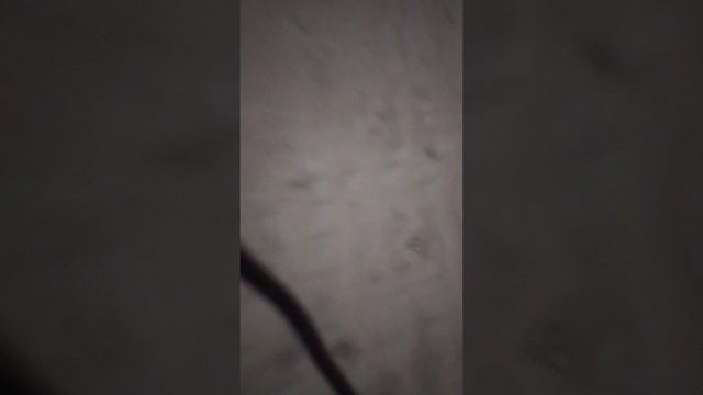 VAGIFOK 113.777 4 МЕТОД ПРЕДСКАЗАНИЯ ЧЕРЕЗ ОЩУЩЕНИЯ 1 ЧАСТЬ.mp4