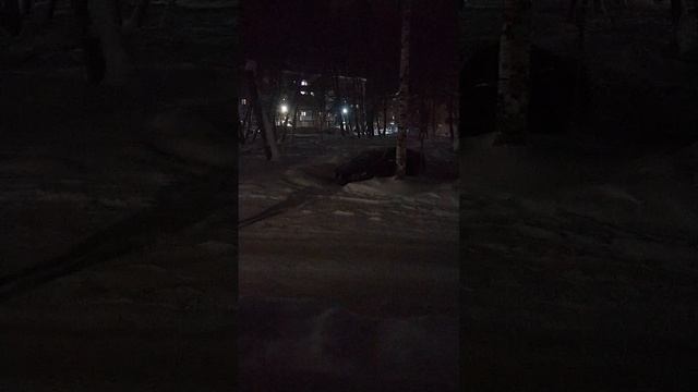 За окном север My favorite yard