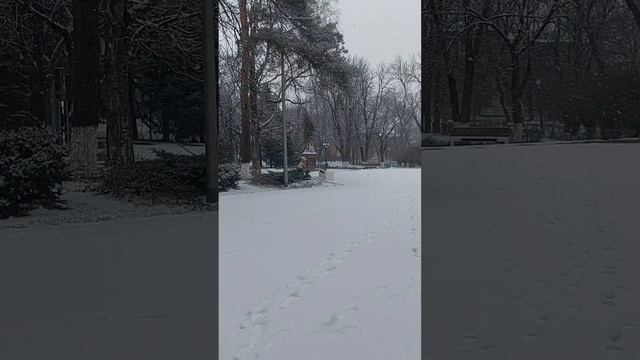 Снежное февральское утро #прекрасныйЛабинсе
