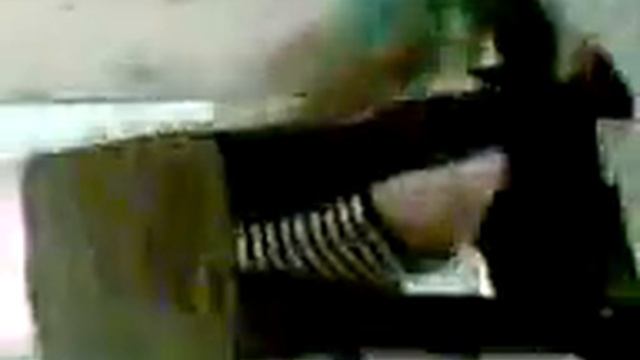 Бои кушовок.3gp