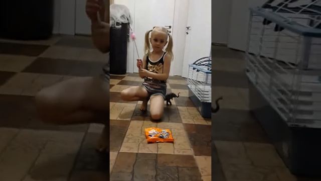 Волшебная палочка