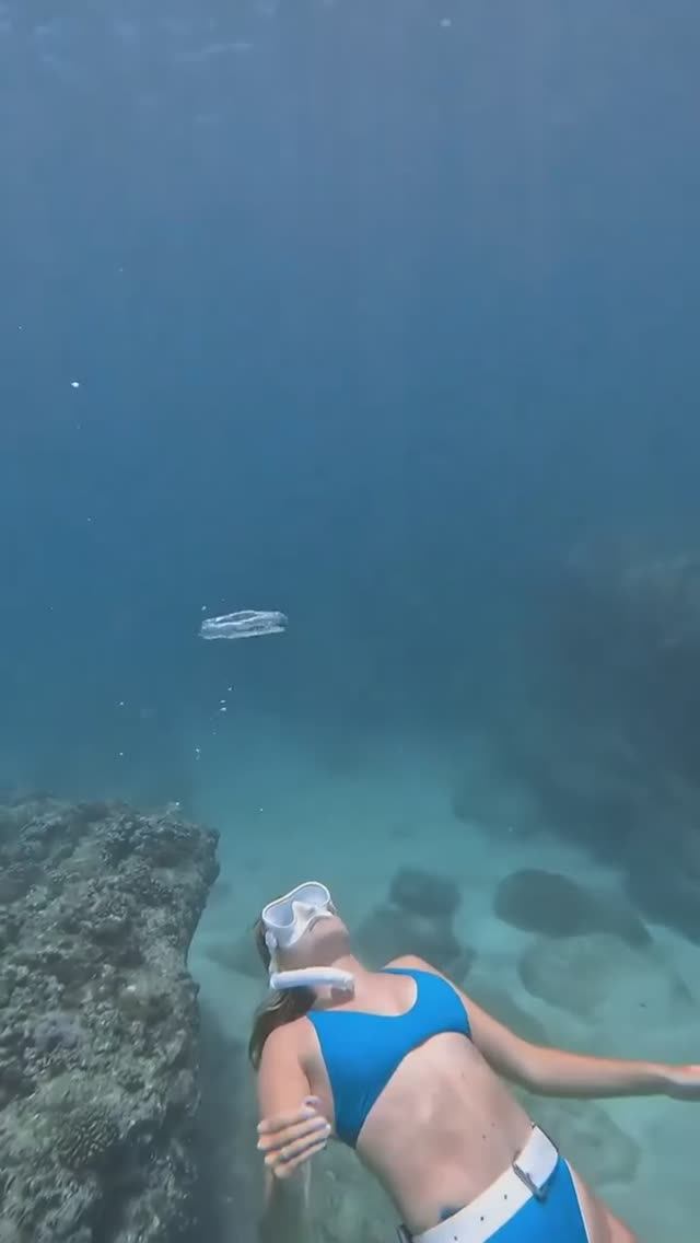 Залипательное на ночь