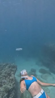 Залипательное на ночь