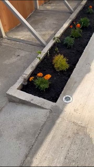Клумбы у бассейна СанМарин