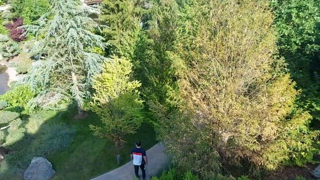 Парк Галицкого, Японский сад, Краснодар