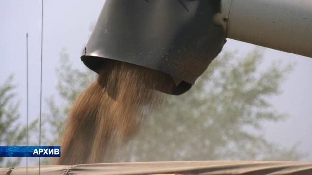 Более 9000 тонн продукции отправили на экспорт сельхозпредприятия Воронежской области за месяц