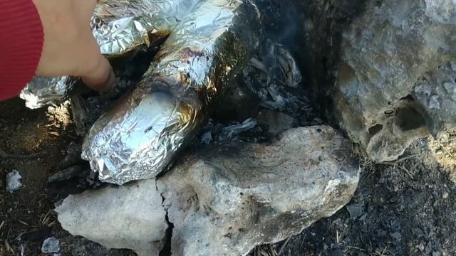 Вкусняха на костре.  Шаурма домашняя.