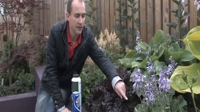 Dealing with Slugs in the Garden with Lee Bestall