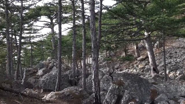 Крым.Каменный хаос