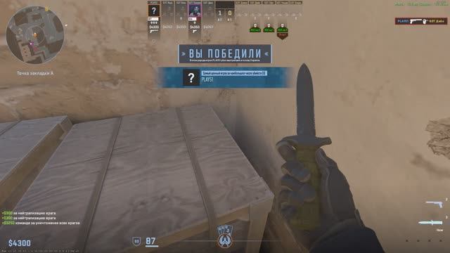 кс го:возьмите в NAVI!
