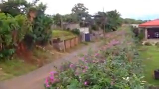 Desde arriba de la veranera