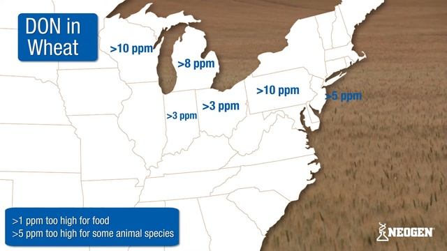Monday Mycotoxin and Crop Report for September 4, 2018